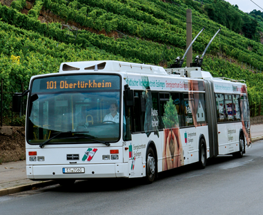 Van Hool OBus-Wagen 213